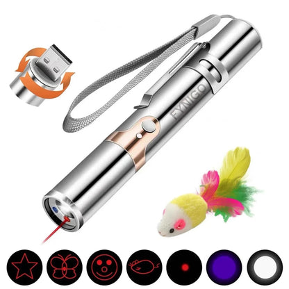 Cat Laser Pointer Toy Rechargeable,Interactive Toy for Cat Kitten Dog with a Mouse Toy,Silver