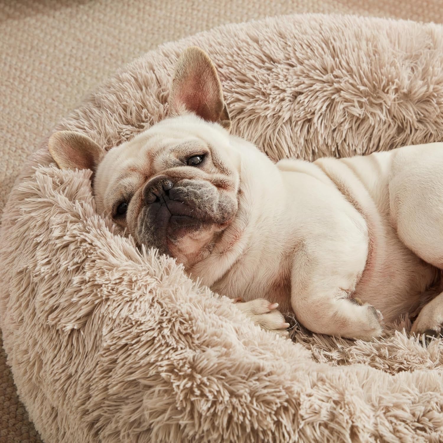 Calming Dog & Cat Bed, Cat Bed for Indoor Cats, Anti-Anxiety Donut round Bed, Fluffy Warming Pet Bed for Small Medium Dogs and Cats, Beige Taupe 20"/24"
