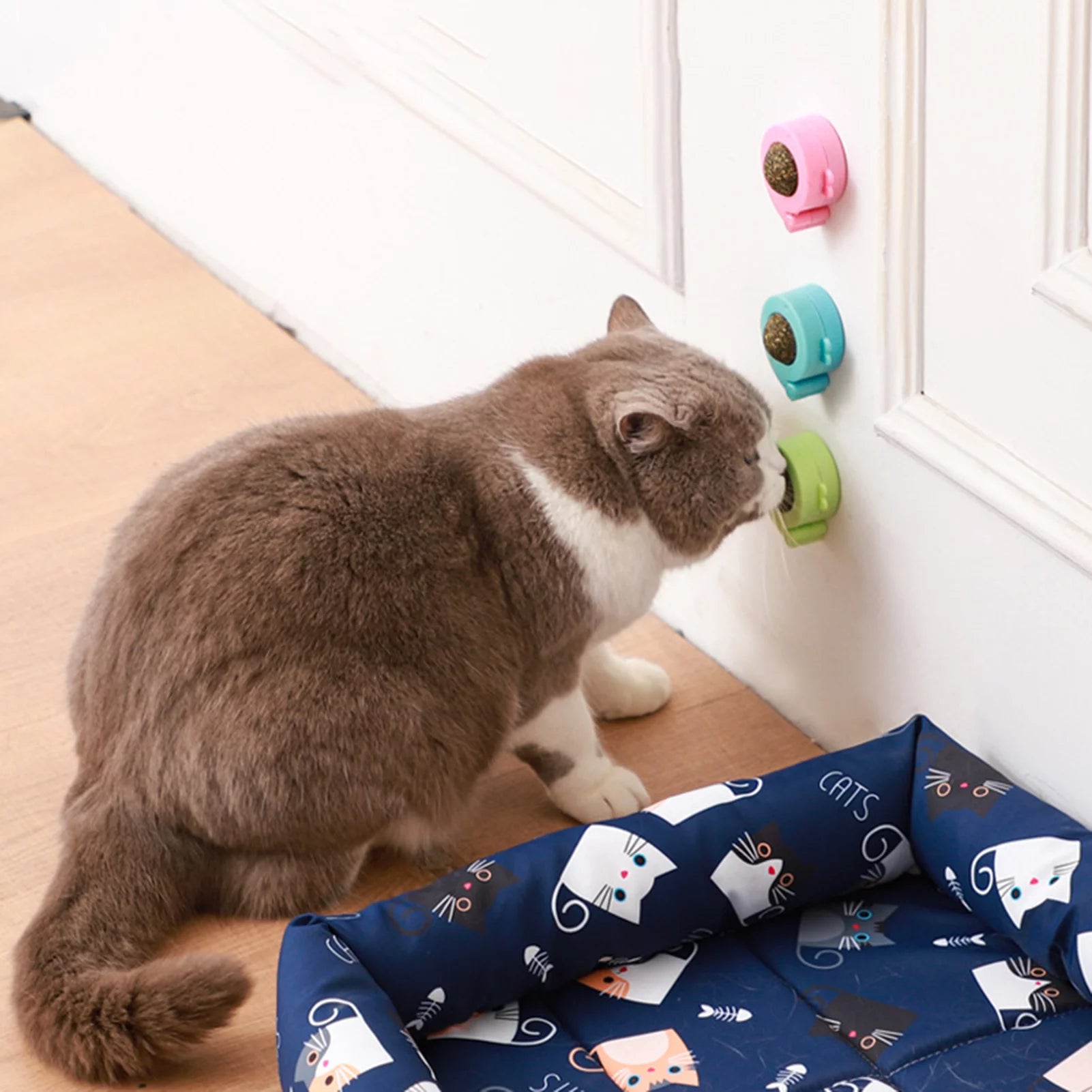 Cat Chew Toy 360 Degree Rotating Teeth Cleaning Pet Treat Catnip Ball Edible Cat Lick Treats Toy Pet Toy